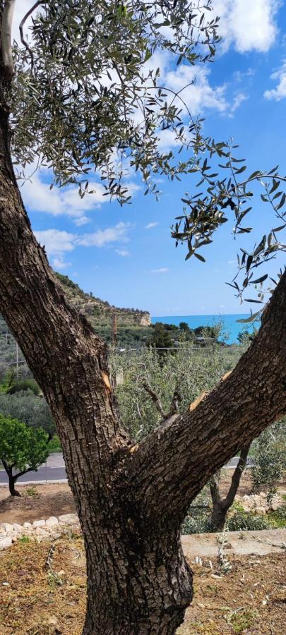Dimora Mediterranea Mattinata Luaran gambar