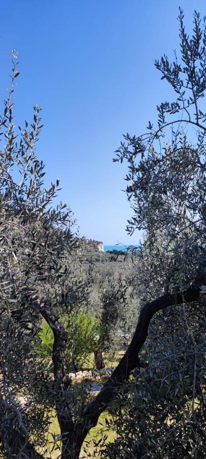 Dimora Mediterranea Mattinata Luaran gambar
